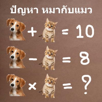 puzzle ปัญหาเชาว์[