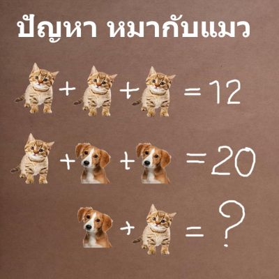 puzzle-dog-cat-47